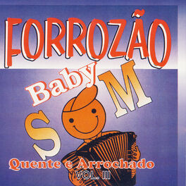 Forrozao Baby Som Vol. 3