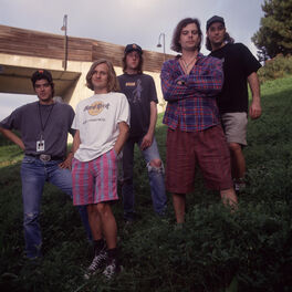 Artist picture of Gin Blossoms