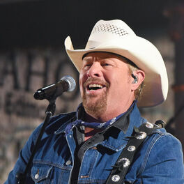 Artist picture of Toby Keith