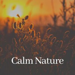 Artist picture of Nature & Sounds Backgrounds