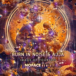 Artist picture of Burn in Noise