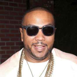 Artist picture of Timbaland