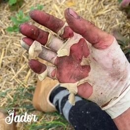 Jador