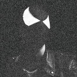 Artist picture of The Bloody Beetroots