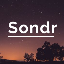 Artist picture of Sondr