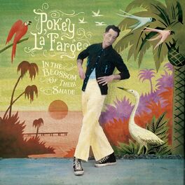 Artist picture of Pokey Lafarge