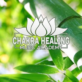 Artist picture of Chakra Healing Music Academy