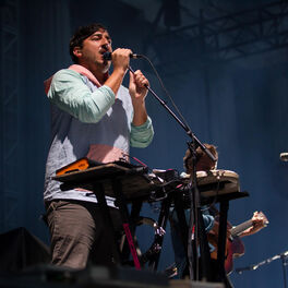 Artist picture of Grizzly Bear
