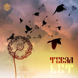 Tebra