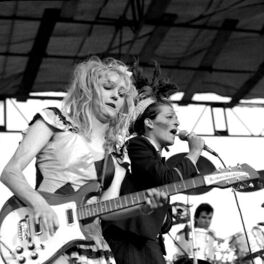 Artist picture of The Slits