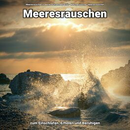 Artist picture of Meeresrauschen in bester Aufnahmequalität