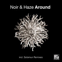 Noir & Haze