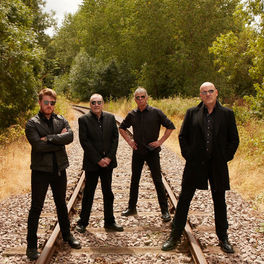 Artist picture of The Stranglers