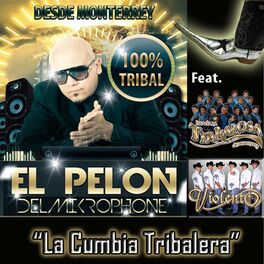 Artist picture of El Pelon Del Mikrophone