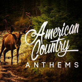 Artist picture of American Country Hits