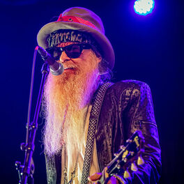 Artist picture of Billy F Gibbons