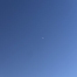 æ