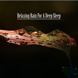 Artist picture of Rain Sounds, SleepTherapy & Nature Sounds