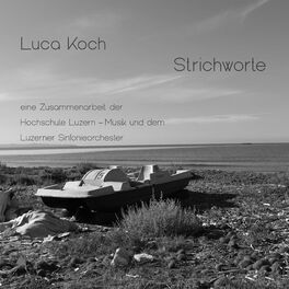 Artist picture of Luca Koch