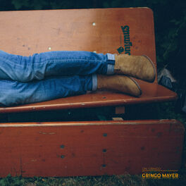 Artist picture of Gringo Mayer