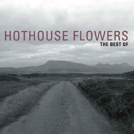 Artist picture of Hothouse Flowers