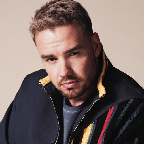 liam one direction 2022 best song ever