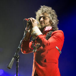 Artist picture of The Flaming Lips