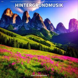 Artist picture of Entspannungsmusik Meditationsmusik Einschlafmusik