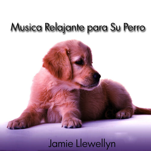 Jamie Llewellyn música, canciones, letras perritos Jamie Llewellyn música, canciones, letras