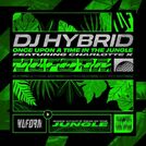 DJ Hybrid
