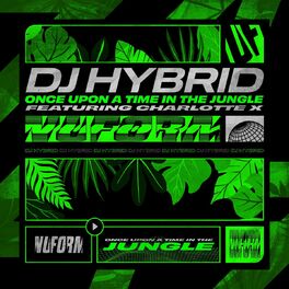 DJ Hybrid