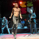 Iggy & the Stooges