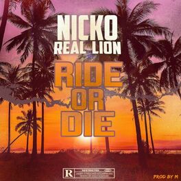 Nicko Real lion