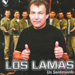 Artist picture of Los Lamas