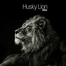 Husky Lion