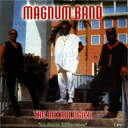 Artist picture of Magnum Band