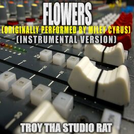 Troy Tha Studio Rat