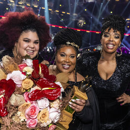 Artist picture of The Mamas
