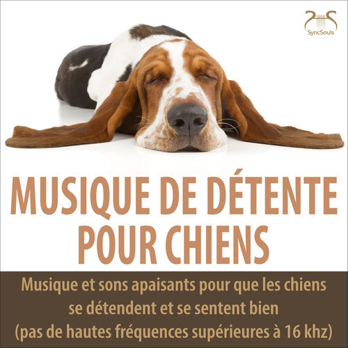 Musique de Chien TA: música, canciones, letras  Escúchalas en Deezer