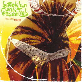 Artist picture of Brooklyn Funk Essentials