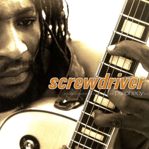 Screwdriver music 2024