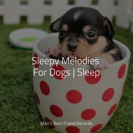 Artist picture of Music For Dogs
