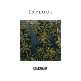 Sandrake