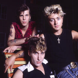 Artist picture of Stray Cats