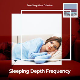 Artist picture of Deep Sleep Music Experience
