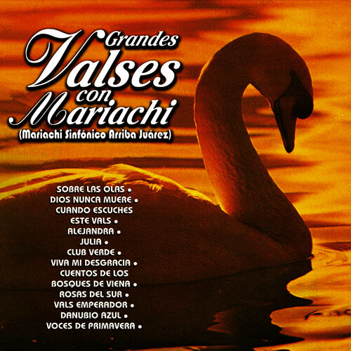 Mariachi Arriba Juarez De Oswaldo Varques: albums, songs, playlists |  Listen on Deezer