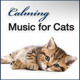 Artist picture of Soothing Music & Nature Sounds for Kittens Playing, Relaxing, Sleeping