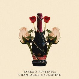 Plvtinum & Tarro