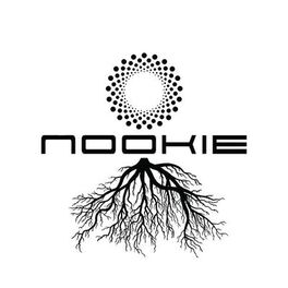 Artist picture of Nookie