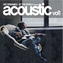 World Mestizo Ensemble Presents Acoustic